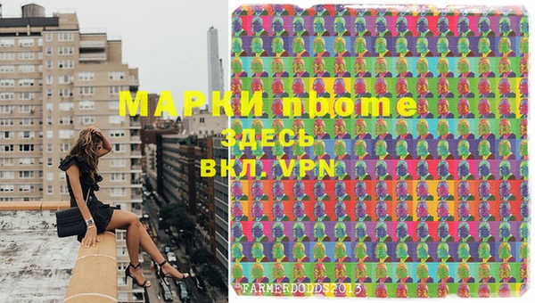 дмт Дмитриев
