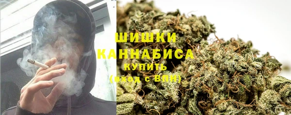 дмт Дмитриев