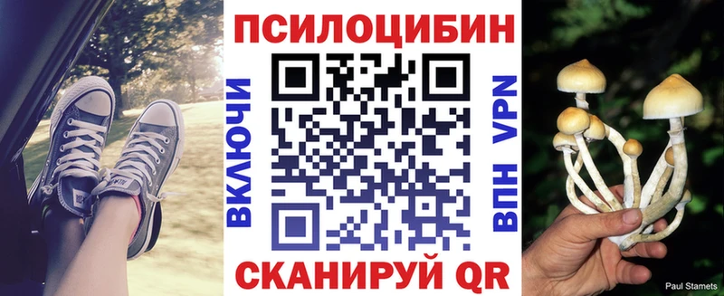 Псилоцибиновые грибы мухоморы  Купить закладки  Красногорск 